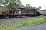 NS 10113